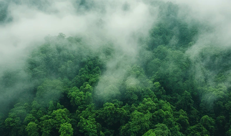 Por qu&eacute; es importante la responsabilidad ambiental