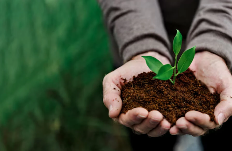 Lo que usted gana: una cadena de suministro m&aacute;s ecol&oacute;gica