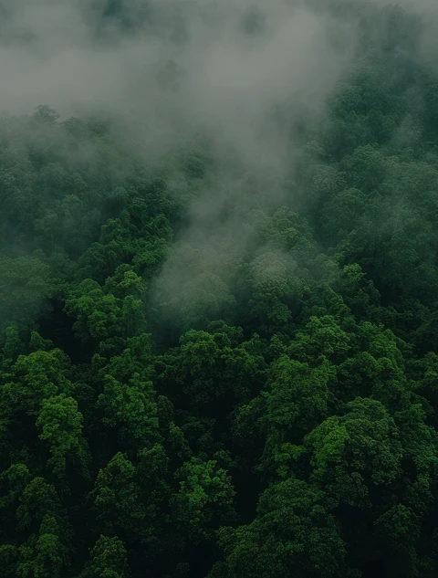 Responsabilidad Ambiental